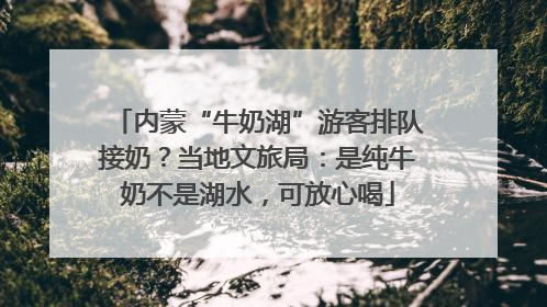 内蒙“牛奶湖”游客排队接奶？当地文旅局：是纯牛奶不是湖水，可放心喝