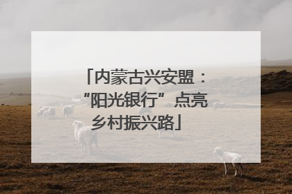 内蒙古兴安盟：“阳光银行”点亮乡村振兴路