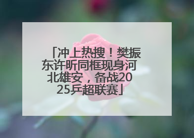 冲上热搜！樊振东许昕同框现身河北雄安，备战2025乒超联赛
