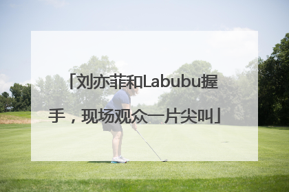 刘亦菲和Labubu握手，现场观众一片尖叫