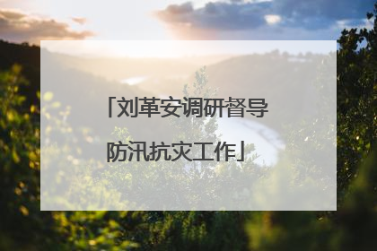 刘革安调研督导防汛抗灾工作