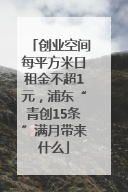 创业空间每平方米日租金不超1元，浦东“青创15条”满月带来什么