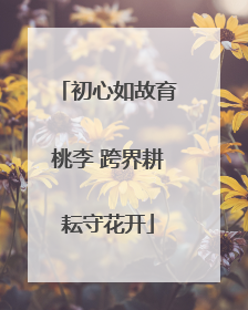 初心如故育桃李 跨界耕耘守花开
