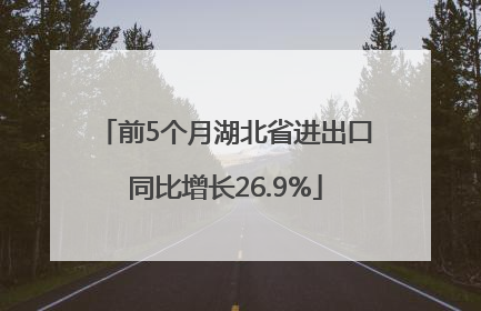 前5个月湖北省进出口同比增长26.9%