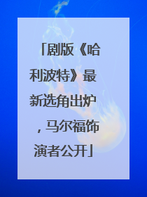 剧版《哈利波特》最新选角出炉，马尔福饰演者公开