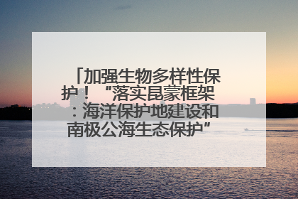 加强生物多样性保护！“落实昆蒙框架：海洋保护地建设和南极公海生态保护”主题论坛将举办