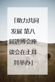 助力共同发展 第八届进博会座谈会在土耳其举办