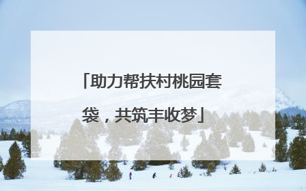 助力帮扶村桃园套袋，共筑丰收梦