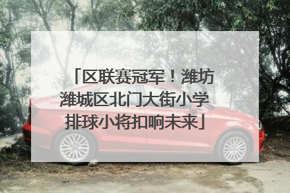 区联赛冠军！潍坊潍城区北门大街小学排球小将扣响未来