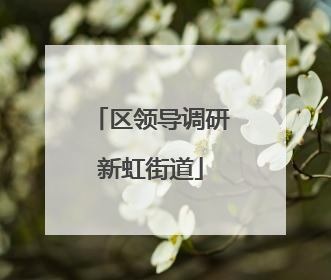 区领导调研新虹街道