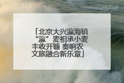 北京大兴瀛海镇“瀛”麦相承小麦丰收开镰 奏响农文旅融合新乐章