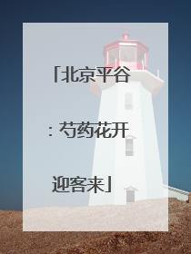北京平谷：芍药花开迎客来