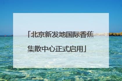 北京新发地国际香蕉集散中心正式启用
