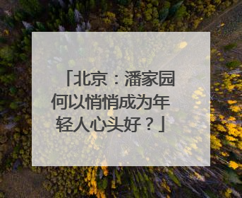 北京：潘家园何以悄悄成为年轻人心头好？