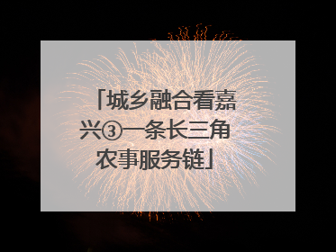 城乡融合看嘉兴③一条长三角农事服务链