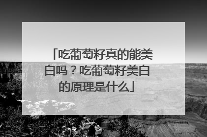 吃葡萄籽真的能美白吗？吃葡萄籽美白的原理是什么