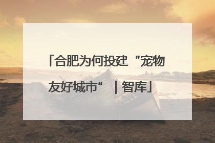 合肥为何投建“宠物友好城市”｜智库