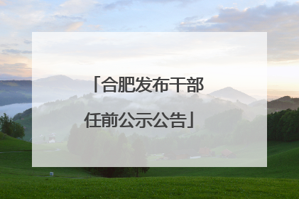 合肥发布干部任前公示公告