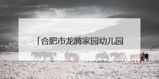 合肥市龙腾家园幼儿园开展“童趣端午汇·乐韵绽华光”主题活动