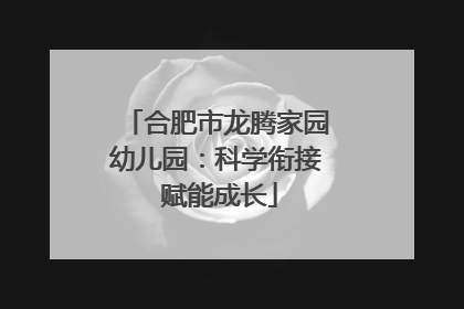 合肥市龙腾家园幼儿园：科学衔接 赋能成长