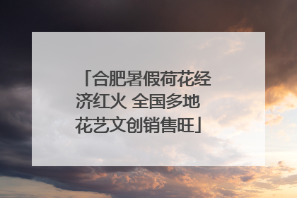 合肥暑假荷花经济红火 全国多地花艺文创销售旺