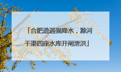 合肥遭遇强降水，滁河干渠四座水库开闸泄洪