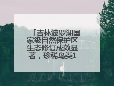 吉林波罗湖国家级自然保护区生态修复成效显著，珍稀鸟类10年增加5倍