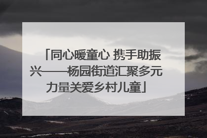 同心暖童心 携手助振兴——杨园街道汇聚多元力量关爱乡村儿童