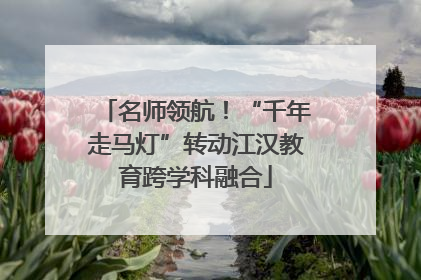 名师领航！“千年走马灯”转动江汉教育跨学科融合