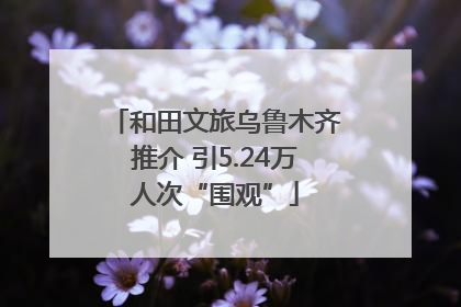 和田文旅乌鲁木齐推介 引5.24万人次“围观”