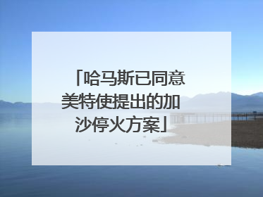 哈马斯已同意美特使提出的加沙停火方案