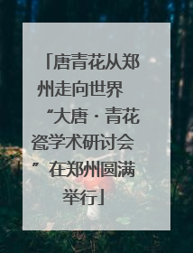 唐青花从郑州走向世界 “大唐・青花瓷学术研讨会”在郑州圆满举行