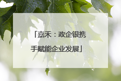 嘉禾：政企银携手赋能企业发展