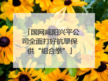 国网咸阳兴平公司全面打好抗旱保供“组合拳”