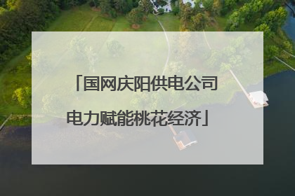 国网庆阳供电公司电力赋能桃花经济