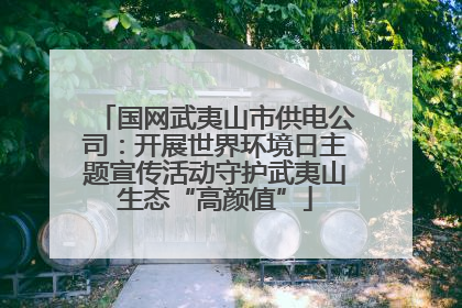 国网武夷山市供电公司：开展世界环境日主题宣传活动守护武夷山生态“高颜值”