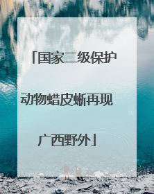 国家二级保护动物蜡皮蜥再现广西野外