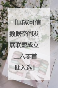 国家可信数据空间发展联盟成立 三六零首批入选