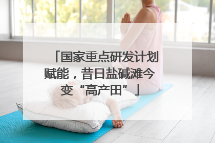 国家重点研发计划赋能，昔日盐碱滩今变“高产田”
