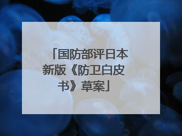 国防部评日本新版《防卫白皮书》草案
