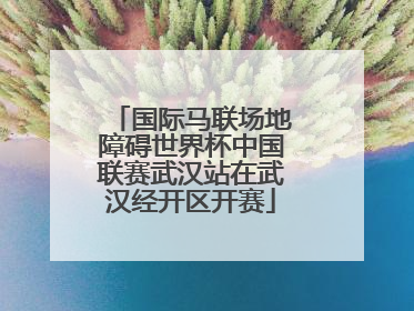 国际马联场地障碍世界杯中国联赛武汉站在武汉经开区开赛