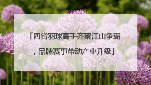 四省羽球高手齐聚江山争霸，品牌赛事带动产业升级