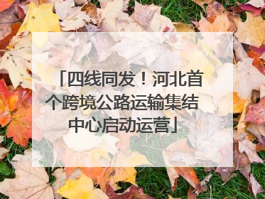 四线同发！河北首个跨境公路运输集结中心启动运营