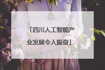 四川人工智能产业发展令人振奋