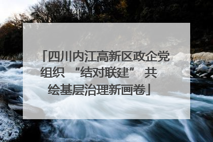四川内江高新区政企党组织 “结对联建” 共绘基层治理新画卷