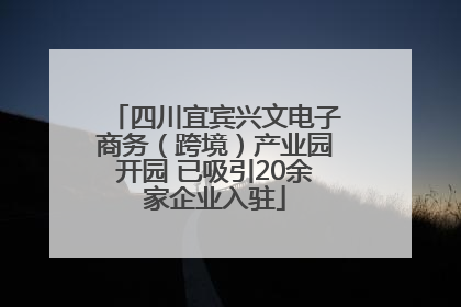 四川宜宾兴文电子商务（跨境）产业园开园 已吸引20余家企业入驻