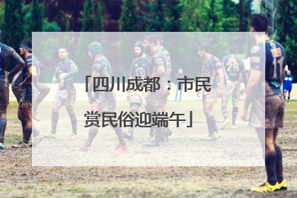 四川成都：市民赏民俗迎端午