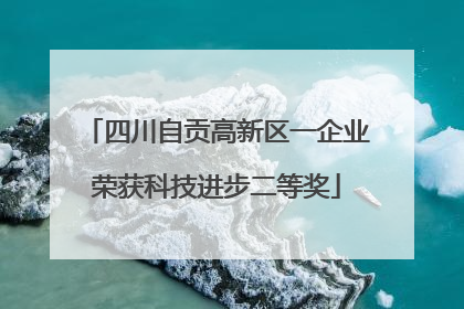 四川自贡高新区一企业荣获科技进步二等奖