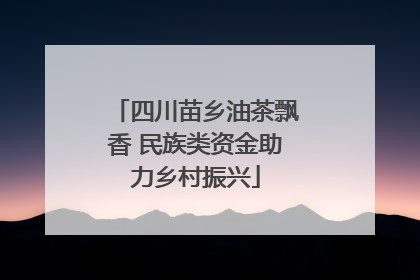 四川苗乡油茶飘香 民族类资金助力乡村振兴