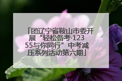 团辽宁省鞍山市委开展“轻松备考·12355与你同行”中考减压系列活动第六期